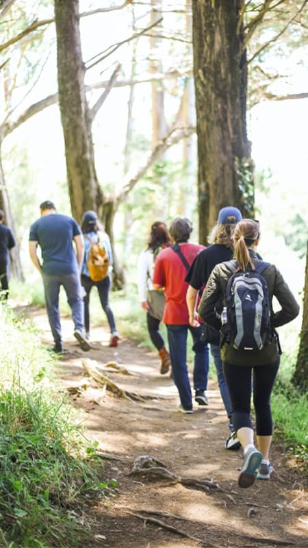 Hiking