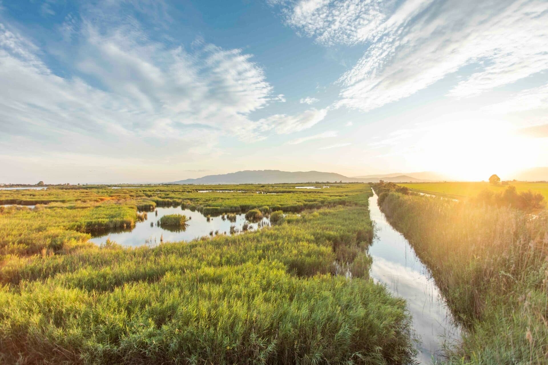 Ebro Delta Natural Park