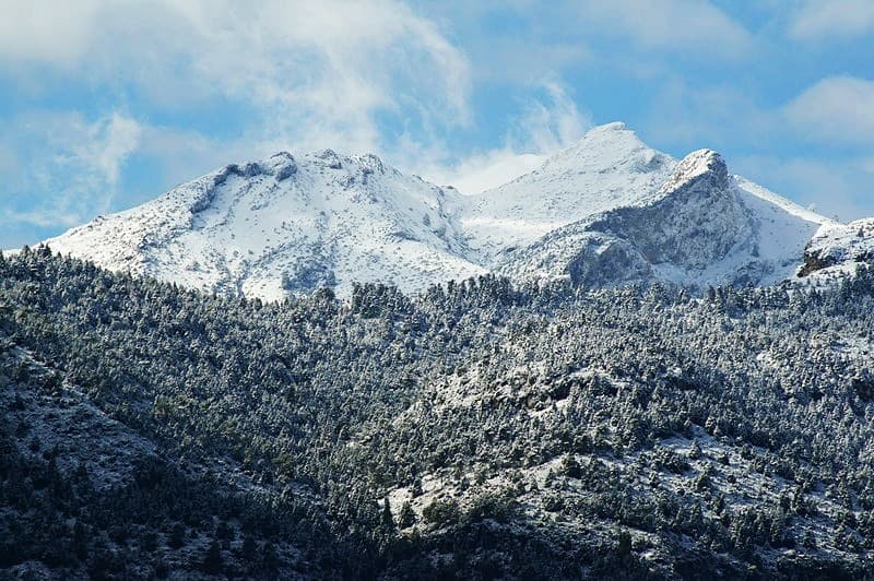 Parque Nacional de la Sierra de las Nieves
