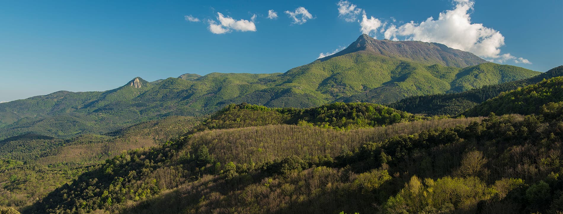 Parque Natural del Montseny