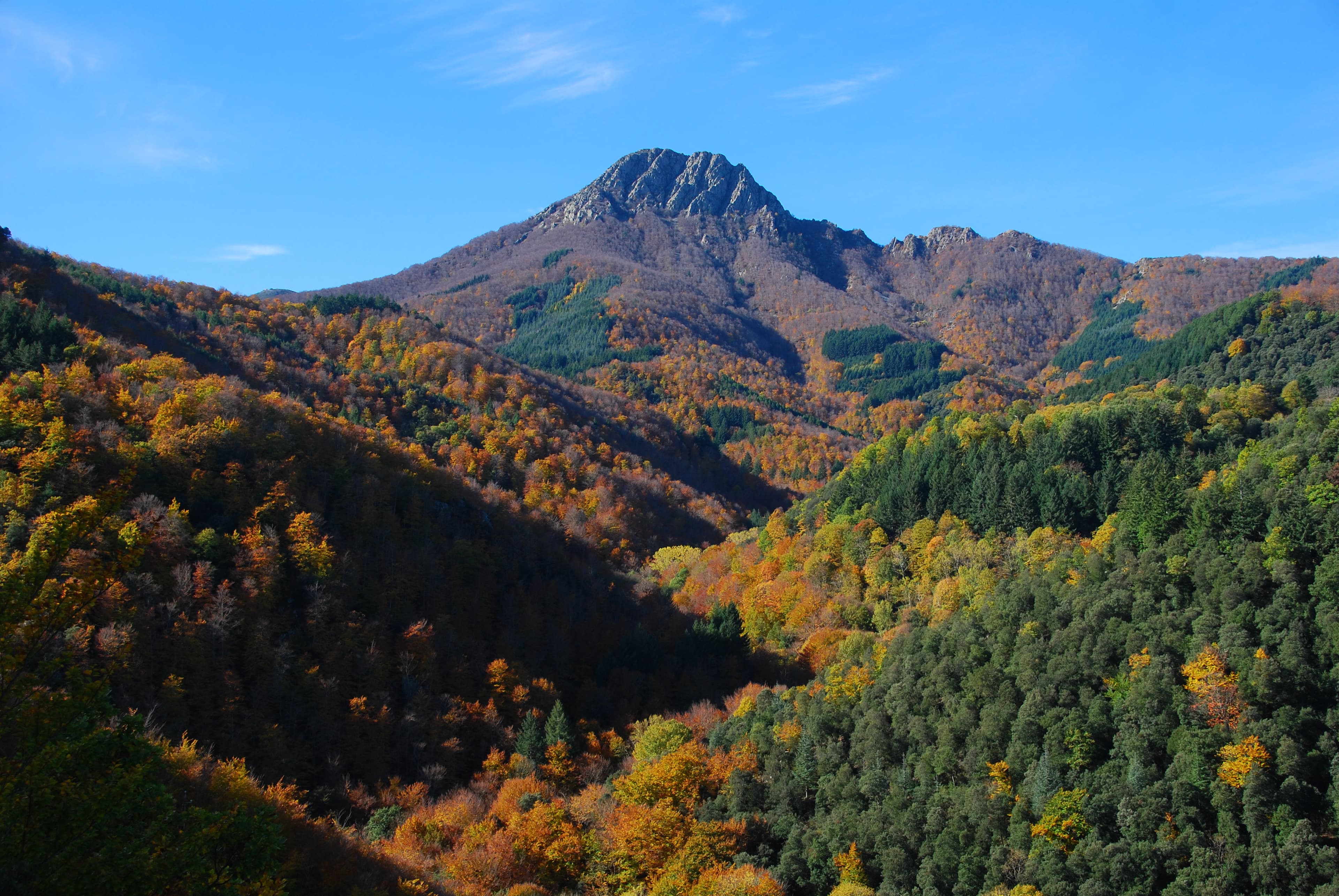 Parc Natural del Montseny